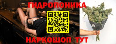 индика Азнакаево
